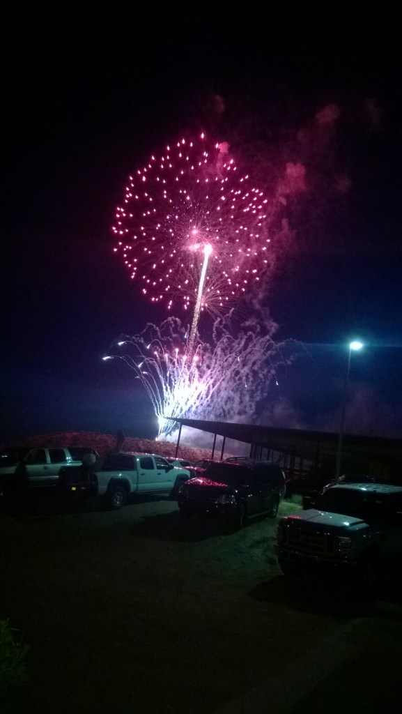 Fireworks at the park