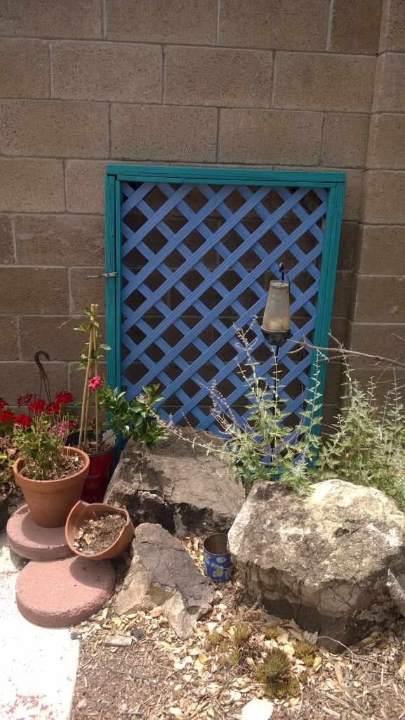 The peaceful back yard